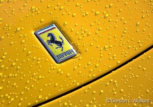 Wet Ferrari_11262.jpg - Photographed at Smiths Falls, Ontario, Canada.